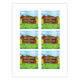 Sticky Image