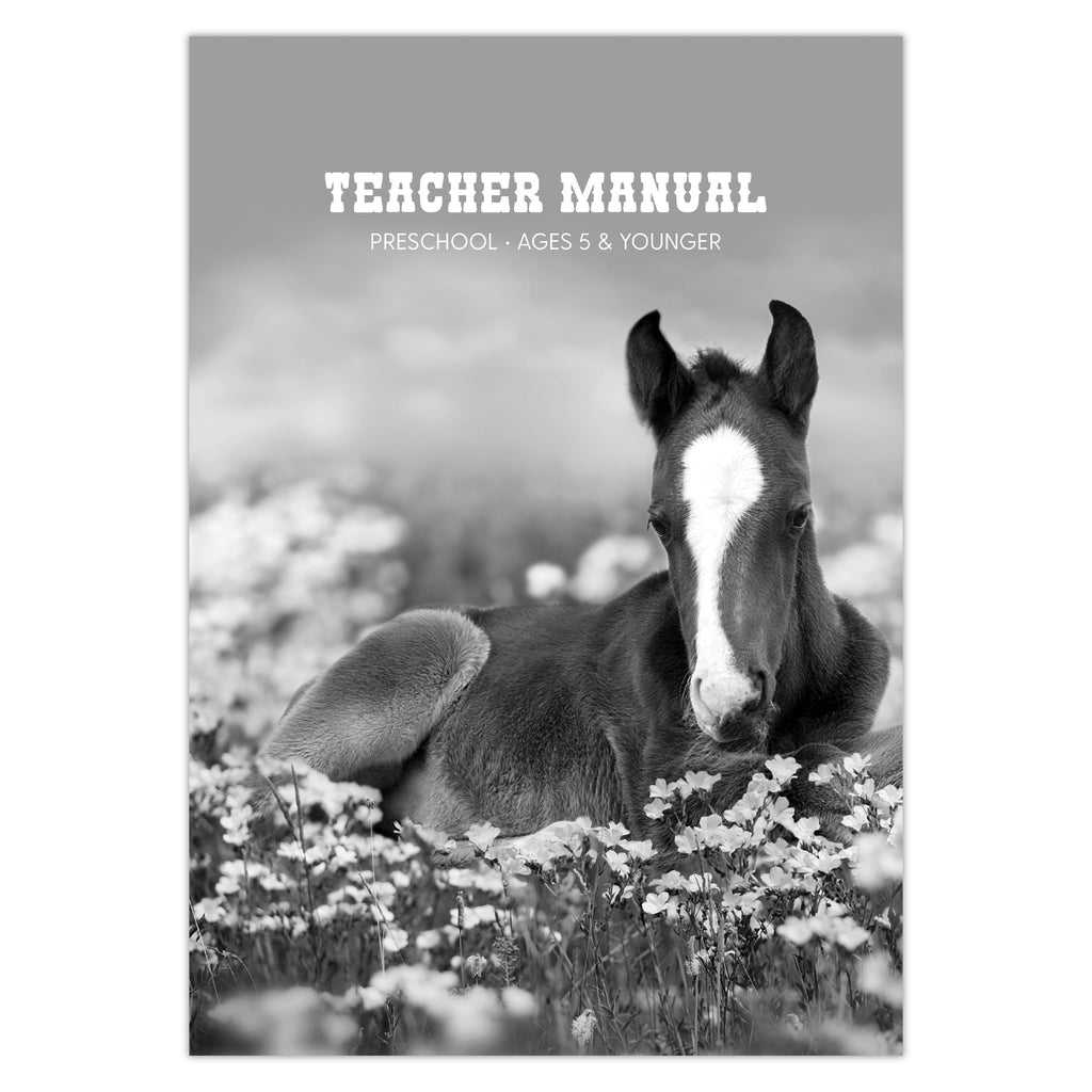 Reigning with Purpose: VBS Preschool Teacher Manual