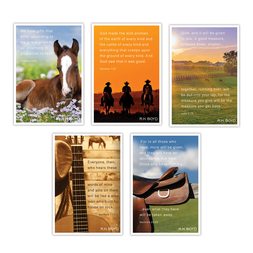 Reigning with Purpose: VBS Adventurers™ Scripture Cards (5pk)